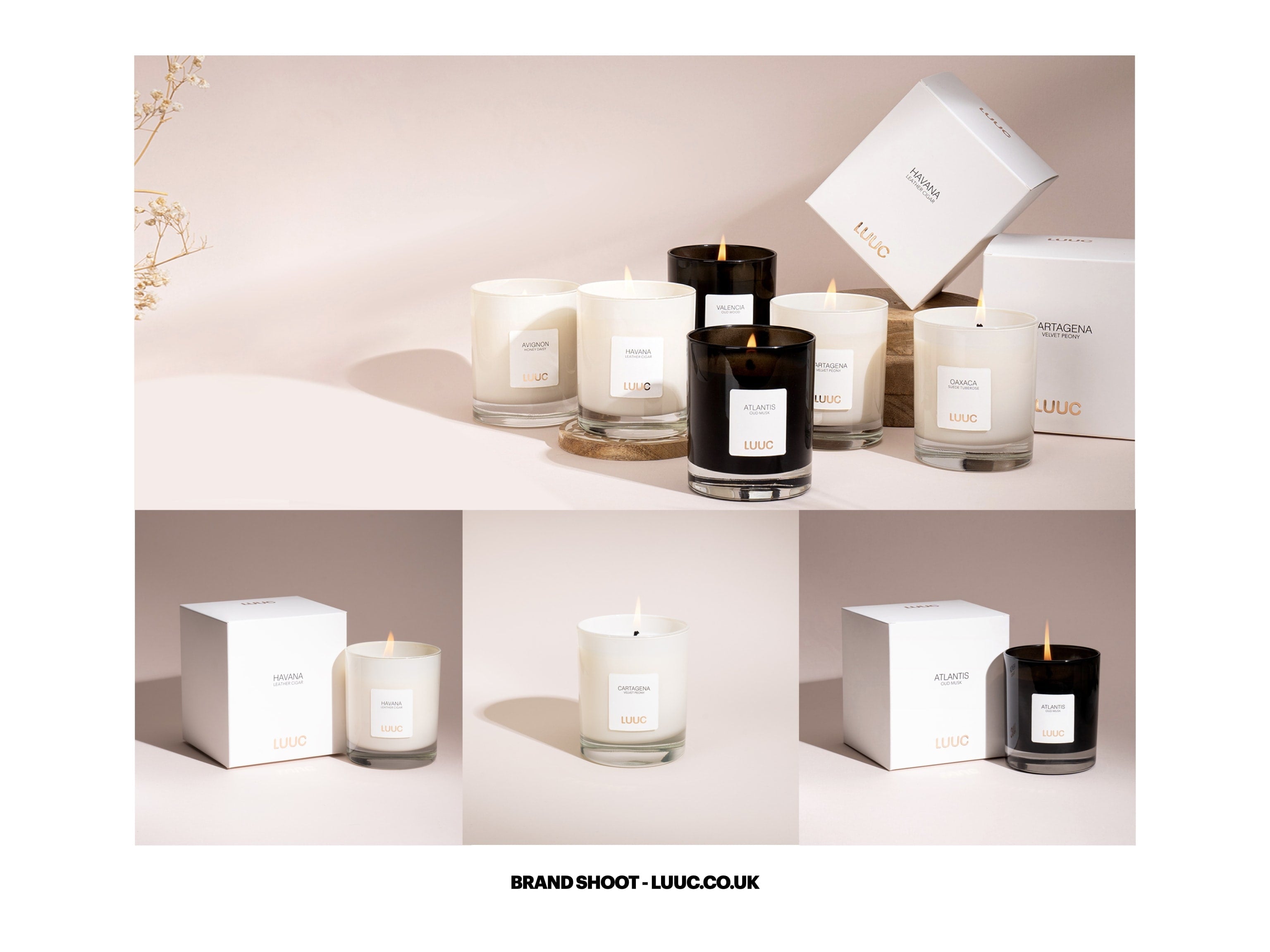 Los Angeles’s best design firm delivers stunning product photography and effective fashion shoots with a creative edge