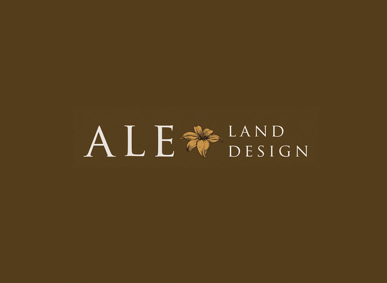 Sydney’s top logo designers excel in creating distinctive visuals that drive brand success